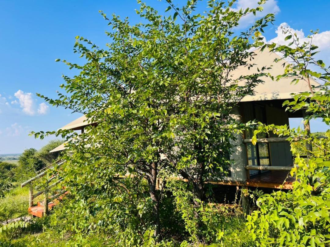 Xhabe Safari Lodge Chobe Muchenje Zewnętrze zdjęcie