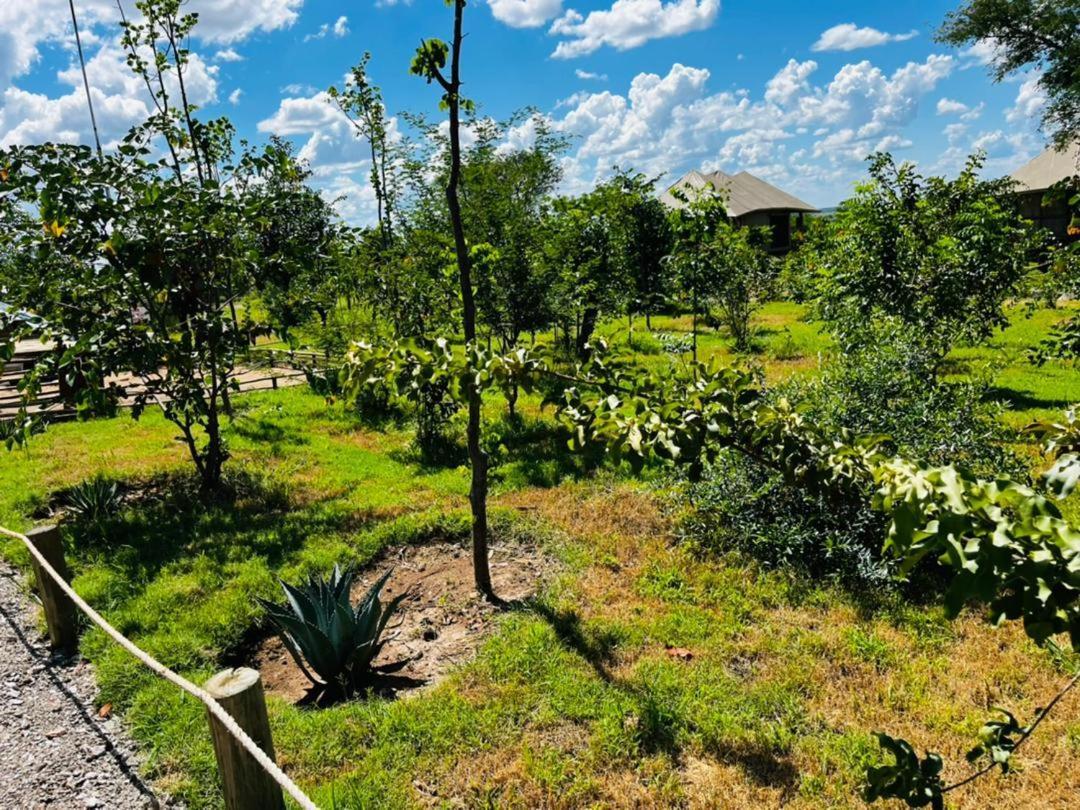 Xhabe Safari Lodge Chobe Muchenje Zewnętrze zdjęcie